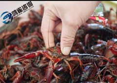食品經營許可證和食品流通許可證的關系必須要知道